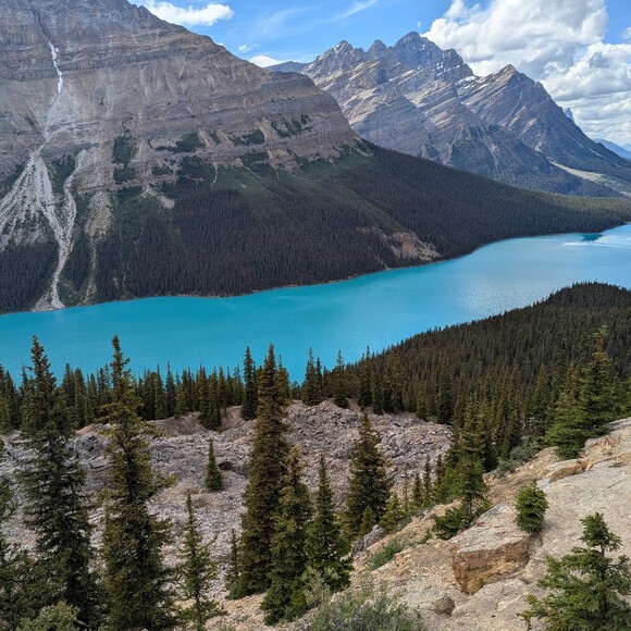 phoenixcanada
